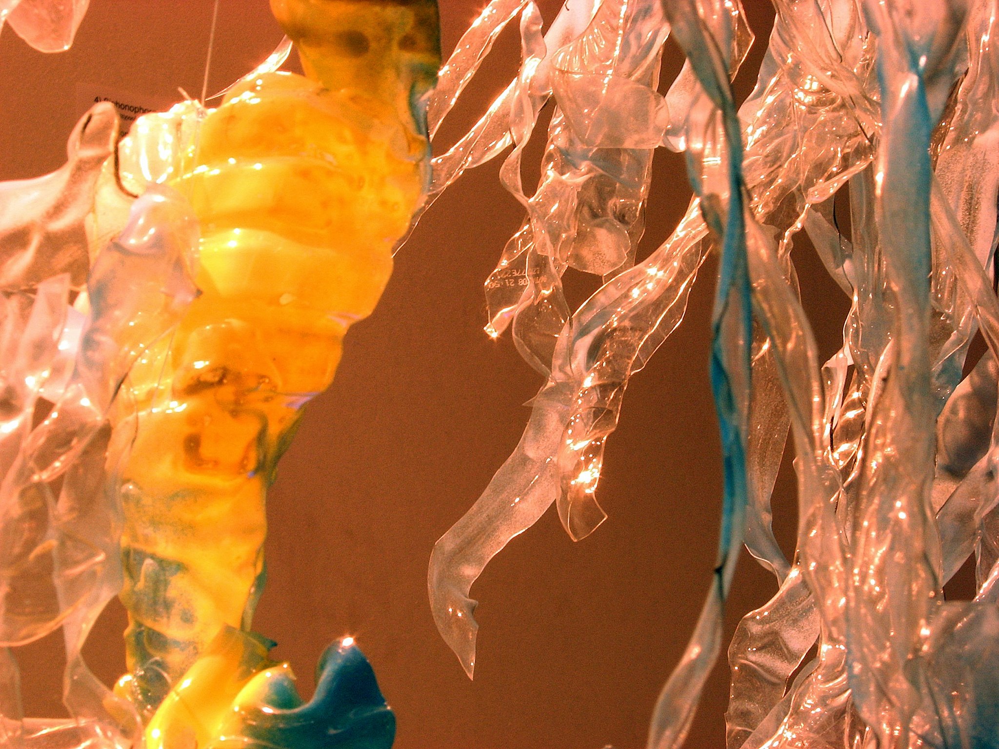 Syphonophore - Tia Bley